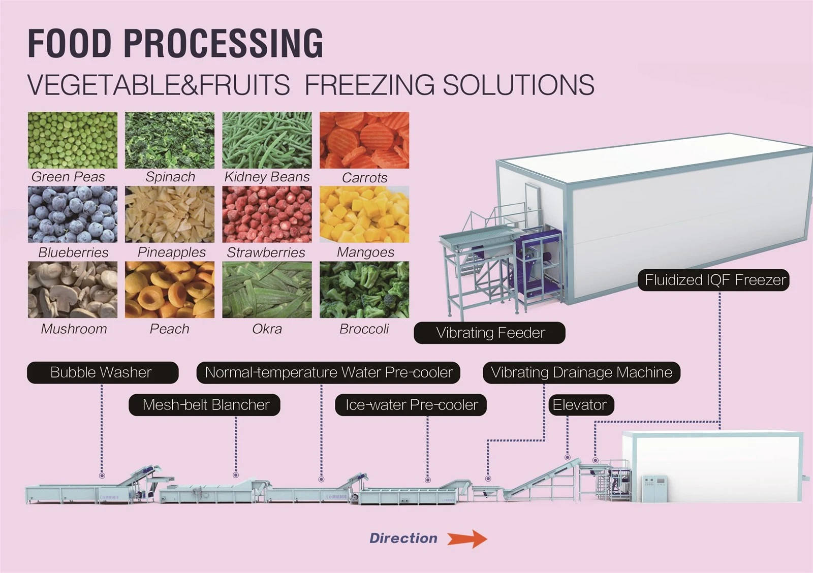 Green Pea Processing Line 1 Green Pea Processing Line 1